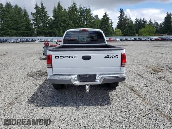 2001 Dodge Dakota Sport с VIN 1B7HG2AZ11S323342, выставлен на аукционе Copart как лот 59001405 с пробегом 245 225 миль миль и Списание • Salvage title. История ставок и продаж доступна на DreamBid. Изображение 6.