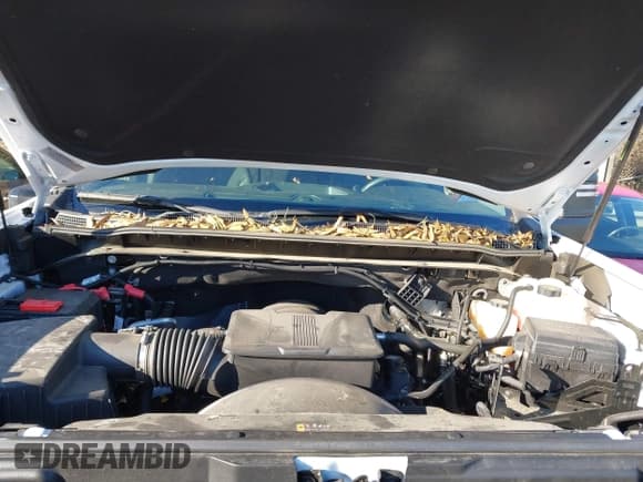 ✅ 2024 Chevrolet Silverado 2500HD Work Truck • VIN: 1GC2YLE72RF198079 • Lot: 41586127. Wystawiony na IAAI z przebiegiem 9 934 mil. Bezpłatny archiwum sprzedaży aukcyjnych z USA i szczegółowy raport historii pojazdu na DreamBid. Zdjęcie 10.