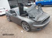 ✅ 2013 Ford Mustang GT • VIN: 1ZVBP8CF9D5232069 • Lot: 41825087. Listed on IAAI with Not provided. Free auction sales archive from the USA and detailed vehicle history report at DreamBid. Image 1.