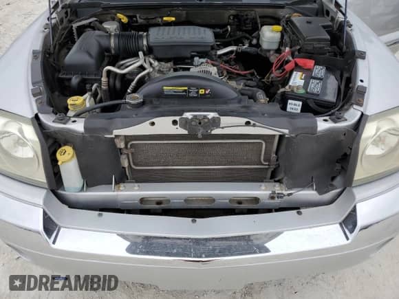 2006 Dodge Dakota Laramie with VIN 1D7HE58N06S641184, listed as a Copart auction lot 43596945 with 173,809 mi miles and Salvage title. Bid and sale history available at DreamBid. Image 11.