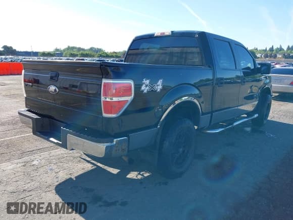 ✅ 2009 Ford F-150 XL • VIN: 1FTRW14809FA66019 • Lot: 42190218. Listed on IAAI with 197,727 mi. Free auction sales archive from the USA and detailed vehicle history report at DreamBid. Image 4.