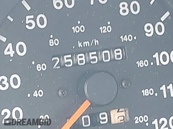 ✅ 1999 Isuzu Rodeo S • VIN: 4S2CK58W6X4332027 • Lot: 42087396. Listed on IAAI with 258,508 mi. Free auction sales archive from the USA and detailed vehicle history report at DreamBid. Image 14.