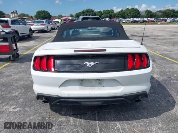 2023 Ford Mustang EcoBoost with VIN 1FATP8UH6P5105734, listed as a IAAI auction lot 43493168 with 67,596 mi miles and . Bid and sale history available at DreamBid. Image 17.