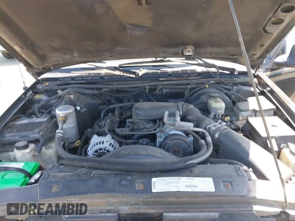 1998 Chevrolet Blazer LT with VIN 1GNDT13W2W2176390, listed as a IAAI auction lot 42056325 with 199,235 mi miles and . Bid and sale history available at DreamBid. Image 10.