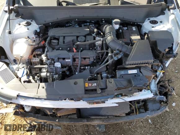 2024 Hyundai Kona Limited with VIN KM8HE3A30RU161268, listed as a Copart auction lot 77844404 with 1,598 mi miles and Salvage title. Bid and sale history available at DreamBid. Image 14.