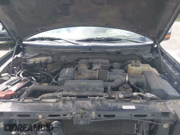 ✅ 2009 Ford F-150 XL • VIN: 1FTPW12V59KB90231 • Лот: 42065711. Опубликован ранее на IAAI с пробегом 277 710 миль. Бесплатный доступ к архиву аукционных продаж из США и подробный отчёт об истории автомобиля на DreamBid. Изображение 10.