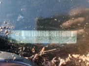 ✅ 2006 Pontiac Torrent • VIN: 2CKDL63F466141285 • Лот: 67778164. Опубликован ранее на Copart с пробегом Не указан. Бесплатный доступ к архиву аукционных продаж из США и подробный отчёт об истории автомобиля на DreamBid. Изображение 13.