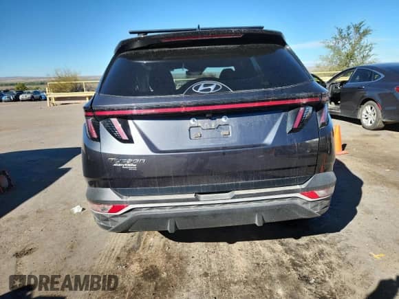 2024 Hyundai Tucson SEL with VIN 5NMJF3DE4RH360007, listed as a Copart auction lot 89502435 with 17,503 mi miles and Salvage title. Bid and sale history available at DreamBid. Image 6.