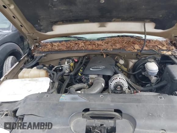 ✅ 2006 Chevrolet Silverado 1500 LT2 • VIN: 1GCEK19B56Z185242 • Lot: 41693225. Listed on IAAI with 253,898 mi. Free auction sales archive from the USA and detailed vehicle history report at DreamBid. Image 10.