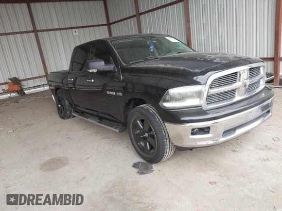 ✅ 2009 Dodge 1500 SLT • VIN: 1D3HB13T49S712884 • Lot: 41428616. Wystawiony na IAAI z przebiegiem 213 978 mil. Bezpłatny archiwum sprzedaży aukcyjnych z USA i szczegółowy raport historii pojazdu na DreamBid. Zdjęcie 1.