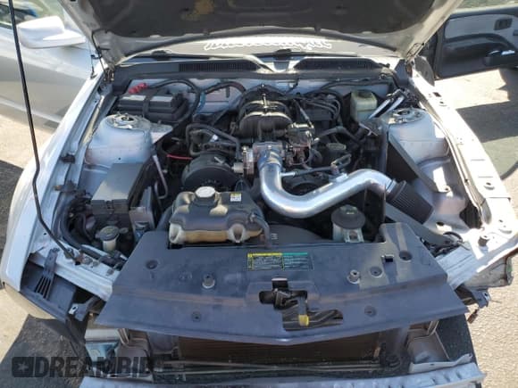 ✅ 2005 Ford Mustang Deluxe • VIN: 1ZVFT84N255214372 • Lot: 67569625. Listed on Copart with 198,132 mi. Free auction sales archive from the USA and detailed vehicle history report at DreamBid. Image 11.