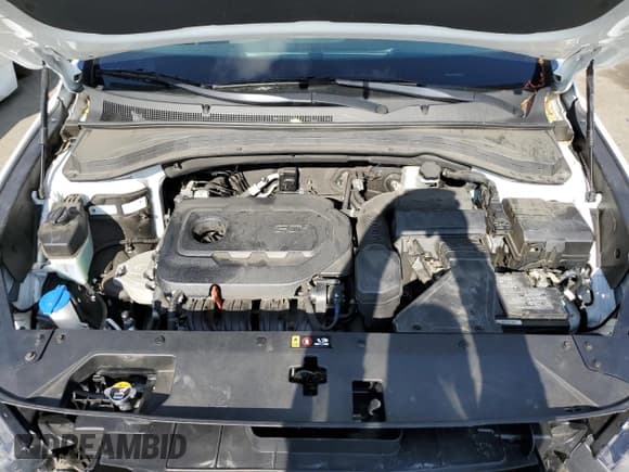 ✅ 2020 Hyundai Santa Fe SEL • VIN: 5NMS3CAD3LH251845 • Lot: 68678114. Wystawiony na Copart z przebiegiem 57 647 mil. Bezpłatny archiwum sprzedaży aukcyjnych z USA i szczegółowy raport historii pojazdu na DreamBid. Zdjęcie 11.