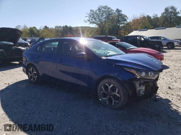 ✅ 2020 Kia Forte LXS • VIN: 3KPF24AD8LE178991 • Lot: 82344025. Wystawiony na Copart z przebiegiem 89 000 mil. Bezpłatny archiwum sprzedaży aukcyjnych z USA i szczegółowy raport historii pojazdu na DreamBid. Zdjęcie 4.