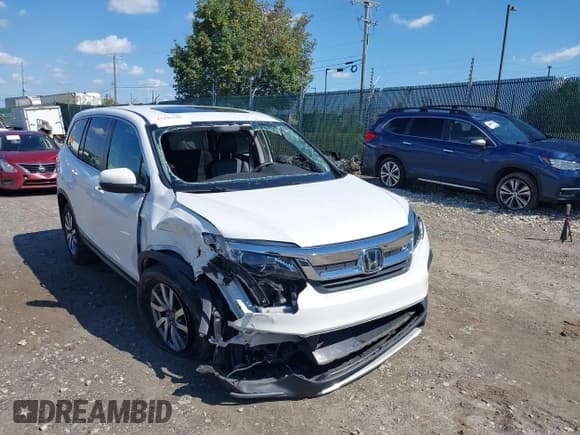 ✅ 2021 Honda Pilot EX-L • VIN: 5FNYF6H50MB098880 • Lot: 43245788. Listed on IAAI with Not provided. Free auction sales archive from the USA and detailed vehicle history report at DreamBid. Image 6.
