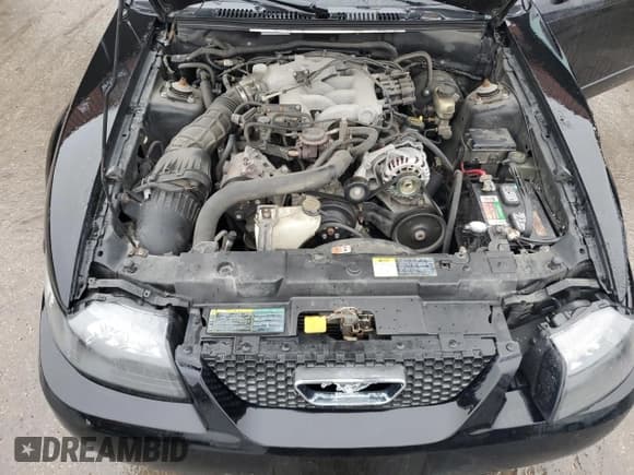 ✅ 2004 Ford Mustang Standard • VIN: 1FAFP40664F202299 • Lot: 43393505. Wystawiony na Copart z przebiegiem 147 047 mil. Bezpłatny archiwum sprzedaży aukcyjnych z USA i szczegółowy raport historii pojazdu na DreamBid. Zdjęcie 11.