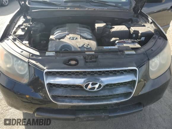 ✅ 2007 Hyundai Santa Fe SE • VIN: 5NMSH13E77H016074 • Лот: 75570704. Размещён на Copart с пробегом 279 259 миль миль. Получите бесплатный доступ к архиву аукционных продаж из США и посмотрите подробный отчёт об истории автомобиля на DreamBid. Изображение 12.