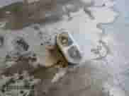 2013 Dodge Challenger SXT z VIN 2C3CDYAG3DH570057, wystawiony jako Copart lot #60176214 z przebiegiem Nie podano mil oraz Szkoda całkowita • Salvage title. Historia ofert i sprzedaży dostępna na DreamBid. Obrazek 12.