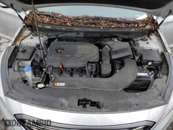 ✅ 2016 Hyundai Sonata Sport • VIN: 5NPE34AF9GH315335 • Лот: 44931275. Опубликован ранее на Copart с пробегом 67 887 миль. Бесплатный доступ к архиву аукционных продаж из США и подробный отчёт об истории автомобиля на DreamBid. Изображение 11.