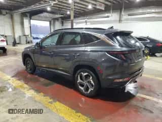 2023 Hyundai Tucson Limited с VIN 5NMJECAE5PH168759, выставлен на аукционе Copart как лот 90705955 с пробегом 13 285 миль миль и Списание • Salvage title. История ставок и продаж доступна на DreamBid. Изображение 2.