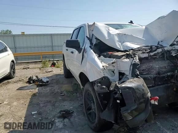 2021 Chevrolet Silverado 1500 Custom Trail Boss with VIN 1GCPYCEFXMZ164251, listed as a Copart auction lot 80461925 with Not provided miles and Salvage title. Bid and sale history available at DreamBid. Image 13.
