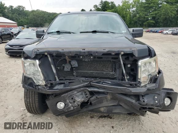 ✅ 2013 Ford F-150 XL • VIN: 1FTFX1EFXDKD57043 • Lot: 67001245. Wystawiony na Copart z przebiegiem 175 844 mil. Bezpłatny archiwum sprzedaży aukcyjnych z USA i szczegółowy raport historii pojazdu na DreamBid. Zdjęcie 5.