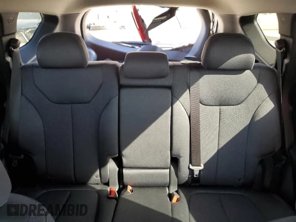 ✅ 2023 Hyundai Santa Fe SEL • VIN: 5NMS2DAJ1PH494557 • Lot: 75985053. Wystawiony na Copart z przebiegiem 9 402 mil. Bezpłatny archiwum sprzedaży aukcyjnych z USA i szczegółowy raport historii pojazdu na DreamBid. Zdjęcie 10.