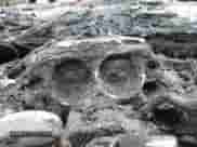 2007 Chevrolet Silverado 1500 1LT with VIN 2GCEC13C071606065, listed as a IAAI auction lot 43308425 with Not provided miles and . Bid and sale history available at DreamBid. Image 7.