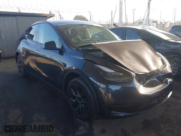 ✅ 2024 Tesla Model Y • VIN: 7SAYGDED1RF209346 • Lot: 43149037. Wystawiony na IAAI z przebiegiem 10 213 mil. Bezpłatny archiwum sprzedaży aukcyjnych z USA i szczegółowy raport historii pojazdu na DreamBid. Zdjęcie 1.