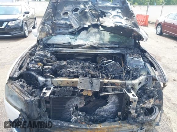 ✅ 2017 Lincoln Continental Reserve • VIN: 1LN6L9RP4H5626716 • Lot: 42292749. Listed on IAAI with Not provided. Free auction sales archive from the USA and detailed vehicle history report at DreamBid. Image 6.