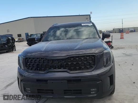 ✅ 2025 Kia Telluride SX-Prestige X-Line • VIN: 5XYP5DGC0SG637653 • Lot: 67949475. Wystawiony na Copart z przebiegiem 3 725 mil. Bezpłatny archiwum sprzedaży aukcyjnych z USA i szczegółowy raport historii pojazdu na DreamBid. Zdjęcie 15.