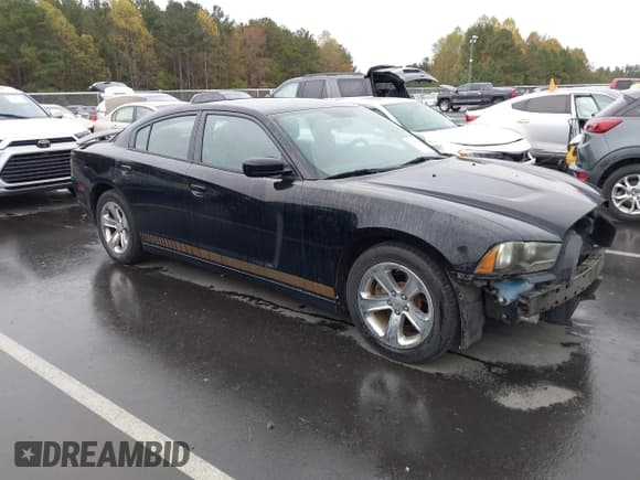 ✅ 2013 Dodge Charger SE • VIN: 2C3CDXBG9DH539839 • Lot: 43548006. Listed on IAAI with 220,448 mi. Free auction sales archive from the USA and detailed vehicle history report at DreamBid. Image 1.