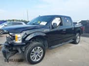 ✅ 2020 Ford F-150 XL • VIN: 1FTEW1E59LKF14176 • Lot: 43083258. Wystawiony na IAAI z przebiegiem Nie podano. Bezpłatny archiwum sprzedaży aukcyjnych z USA i szczegółowy raport historii pojazdu na DreamBid. Zdjęcie 2.