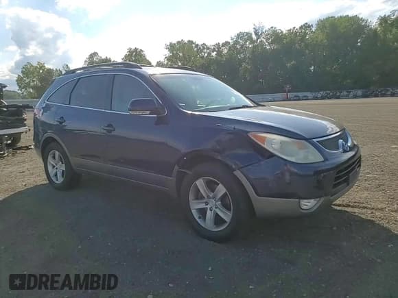 ✅ 2008 Hyundai Veracruz GLS • VIN: KM8NU73C68U058039 • Lot: 70360225. Listed on Copart with 173,388 mi. Free auction sales archive from the USA and detailed vehicle history report at DreamBid. Image 14.