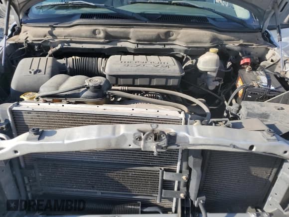 ✅ 2003 Dodge 1500 ST • VIN: 1D7HA18N33S253561 • Лот: 72737084. Опубликован ранее на Copart с пробегом 185 026 миль. Бесплатный доступ к архиву аукционных продаж из США и подробный отчёт об истории автомобиля на DreamBid. Изображение 13.