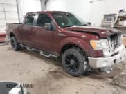 ✅ 2009 Ford F-150 XL • VIN: 1FTPW14V19FA15416 • Lot: 41203618. Listed on IAAI with 135,758 mi. Free auction sales archive from the USA and detailed vehicle history report at DreamBid. Image 1.