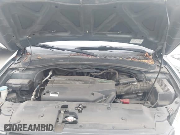 ✅ 2003 Honda Pilot EX • VIN: 2HKYF186X3H561698 • Lot: 42809740. Listed on IAAI with 178,159 mi. Free auction sales archive from the USA and detailed vehicle history report at DreamBid. Image 10.