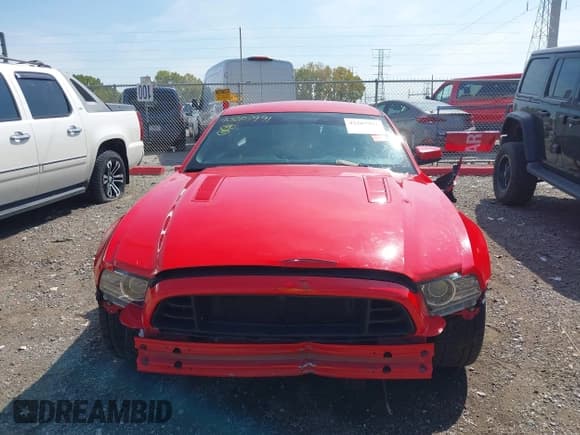 ✅ 2014 Ford Mustang GT • VIN: 1ZVBP8CF5E5200625 • Lot: 43207991. Listed on IAAI with 122,978 mi. Free auction sales archive from the USA and detailed vehicle history report at DreamBid. Image 13.