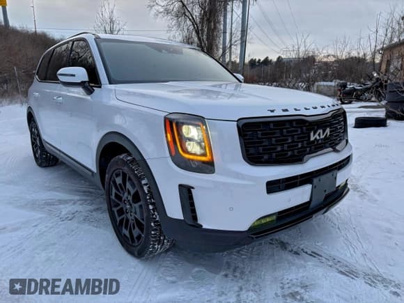 ✅ 2022 Kia Telluride SX • VIN: 5XYP5DHC0NG243928 • Lot: 96672665. Listed on Copart with 149,275 mi. Free auction sales archive from the USA and detailed vehicle history report at DreamBid. Image 2.