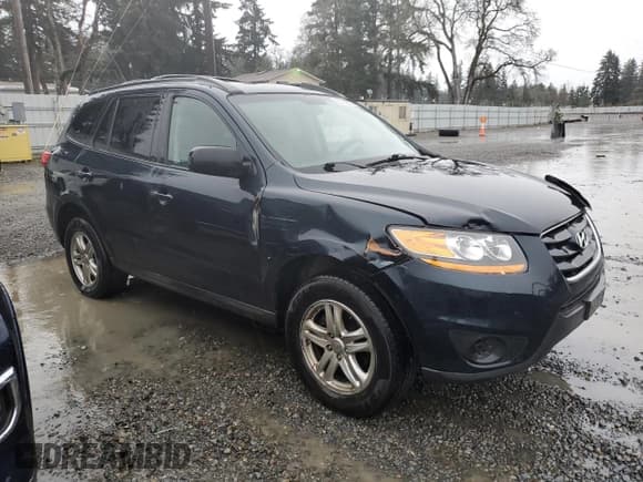 ✅ 2010 Hyundai Santa Fe GLS • VIN: 5NMSGDAB1AH344756 • Lot: 83753384. Listed on Copart with 252,512 mi. Free auction sales archive from the USA and detailed vehicle history report at DreamBid. Image 4.