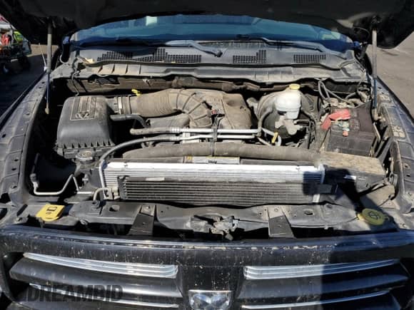 2010 Dodge 1500 SLT z VIN 1D7RB1GT3AS204276, wystawiony jako Copart lot #77839374 z przebiegiem 77 638 mil mil oraz Czysty tytuł • Clean title. Historia ofert i sprzedaży dostępna na DreamBid. Obrazek 11.