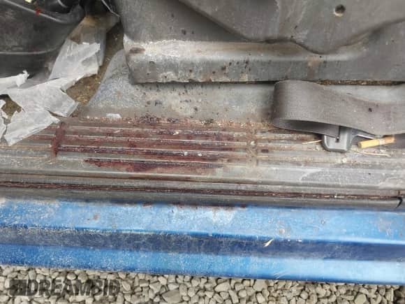 2004 Chevrolet Silverado 1500 Z71 with VIN 2GCEK13T141319493, listed as a IAAI auction lot 43398096 with Not provided miles and . Bid and sale history available at DreamBid. Image 20.