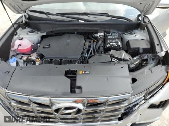 ✅ 2024 Hyundai Tucson Limited • VIN: 5NMJECDE0RH379270 • Lot: 68431374. Wystawiony na Copart z przebiegiem 3 112 mil. Bezpłatny archiwum sprzedaży aukcyjnych z USA i szczegółowy raport historii pojazdu na DreamBid. Zdjęcie 13.