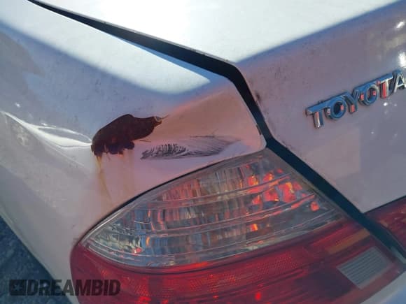 ✅ 2003 Toyota Avalon XL • VIN: 4T1BF28B13U315777 • Lot: 41385568. Wystawiony na IAAI z przebiegiem 207 878 mil. Bezpłatny archiwum sprzedaży aukcyjnych z USA i szczegółowy raport historii pojazdu na DreamBid. Zdjęcie 14.