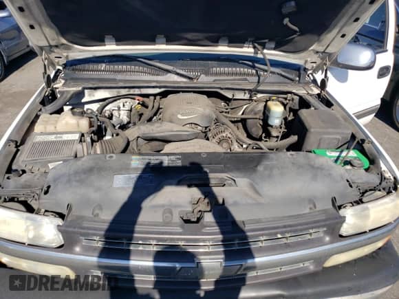 2002 Chevrolet Silverado 1500 with VIN 1GCEC19T02E150146, listed as a Copart auction lot 77425664 with 295,228 mi miles and Salvage title. Bid and sale history available at DreamBid. Image 11.