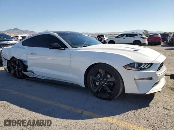2023 Ford Mustang EcoBoost with VIN 1FA6P8TH0P5101855, listed as a Copart auction lot 81621795 with 20,005 mi miles and Salvage title. Bid and sale history available at DreamBid. Image 4.
