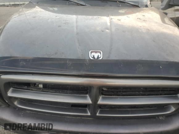 ✅ 2001 Dodge Durango • VIN: 1B4HS28N91F643421 • Lot: 89825865. Wystawiony na Copart z przebiegiem Nie podano. Bezpłatny archiwum sprzedaży aukcyjnych z USA i szczegółowy raport historii pojazdu na DreamBid. Zdjęcie 12.