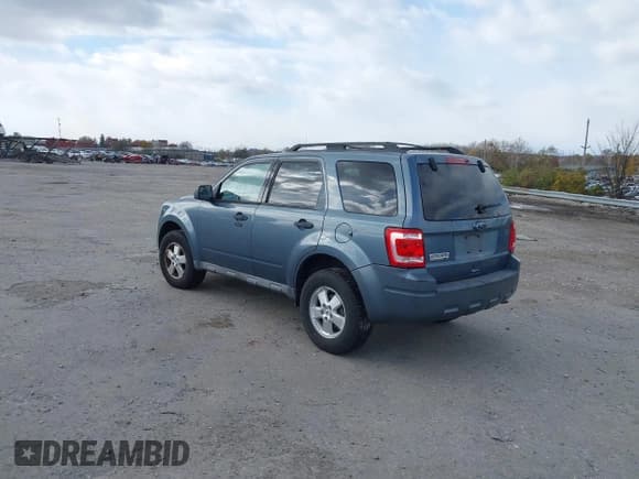 ✅ 2010 Ford Escape XLT • VIN: 1FMCU0D70AKA95444 • Lot: 43677013. Listed on IAAI with 219,319 mi. Free auction sales archive from the USA and detailed vehicle history report at DreamBid. Image 3.