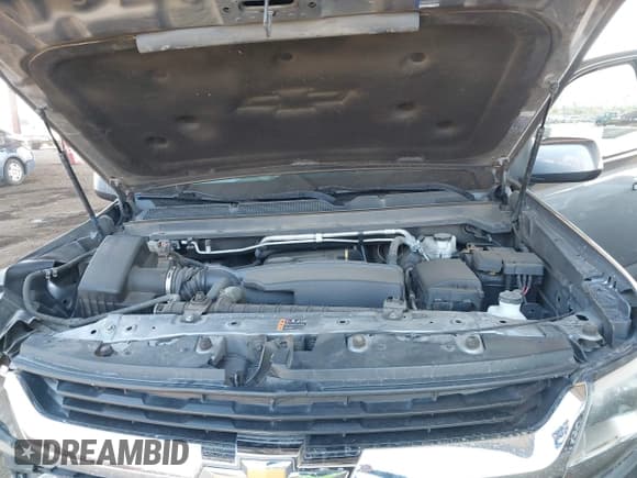 ✅ 2019 Chevrolet Colorado 2WD LT • VIN: 1GCGSCEAXK1359591 • Lot: 41713349. Listed on IAAI with 87,192 mi. Free auction sales archive from the USA and detailed vehicle history report at DreamBid. Image 10.