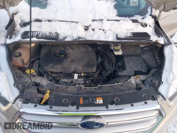 ✅ 2017 Ford Escape SE • VIN: 1FMCU9GD9HUC55311 • Лот: 43815367. Опубликован ранее на IAAI с пробегом 117 889 миль. Бесплатный доступ к архиву аукционных продаж из США и подробный отчёт об истории автомобиля на DreamBid. Изображение 10.