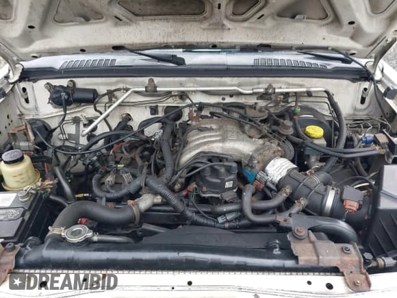 ✅ 2003 Nissan Xterra SE • VIN: 5N1ED28YX3C702907 • Lot: 41836080. Wystawiony na IAAI z przebiegiem 220 857 mil. Bezpłatny archiwum sprzedaży aukcyjnych z USA i szczegółowy raport historii pojazdu na DreamBid. Zdjęcie 10.